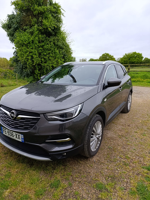 Opel Grandland x Grandland X 1.2 Turbo 130 ch BVA8 Design Line 2019 occasion Saint-Loup-du-Dorat 53290