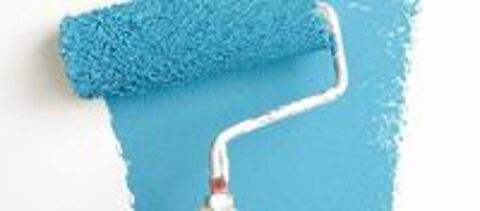   PRO PEINTURE R�NOVATION MARTINIQUE 