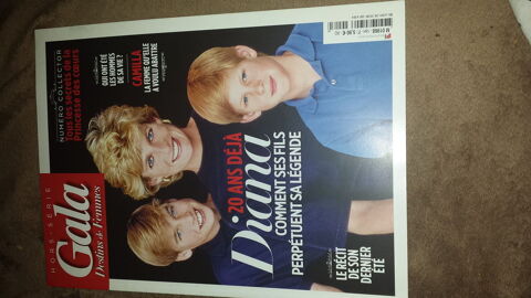 REVUE
GALA DESTINS DE FEMMES
HORS-SERIE
JUILLET 2017
DIANA
3 Triel-sur-Seine (78)