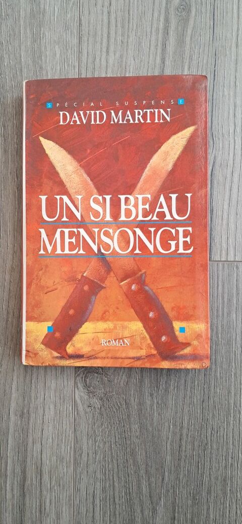 Livre Suspense  Un si beau mensonge  - David Martin 3 Sourcieux-les-Mines (69)