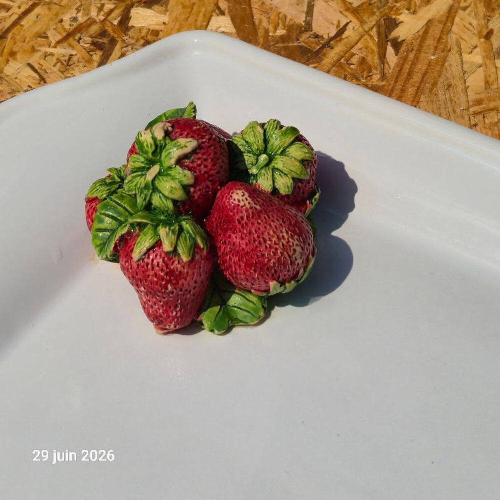 Plat &agrave; cake pour dessert ou sal&eacute;, avec des fraises de saison Cuisine