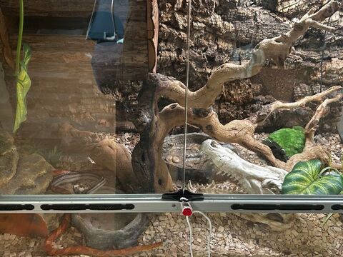 terrarium complet 100 25500 Les fins
