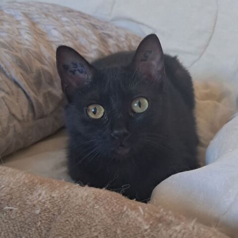 Onyxe 180 26260 Charmes-sur-l'herbasse