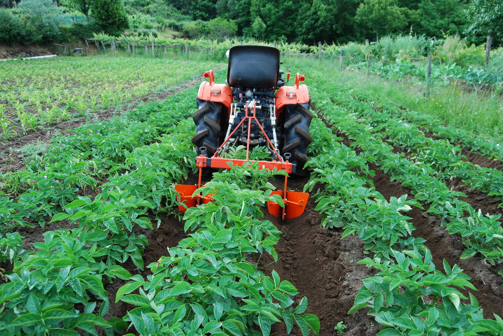 Triangle multifonction micro tracteur Jardin