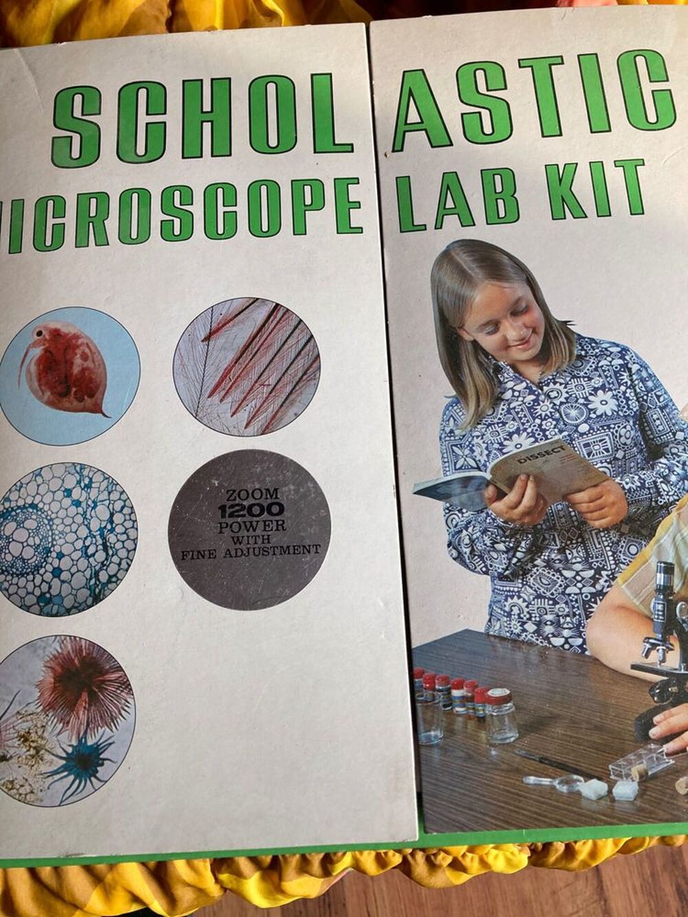 microscope 