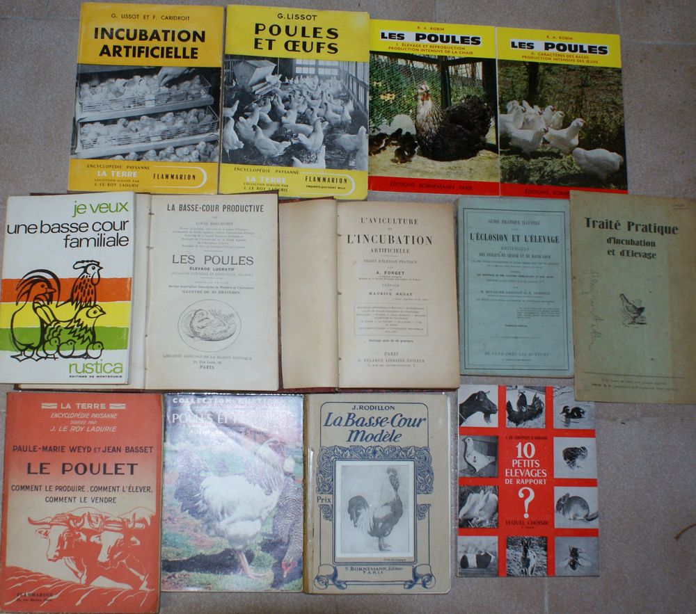 13 livres poules, aviculture Livres et BD