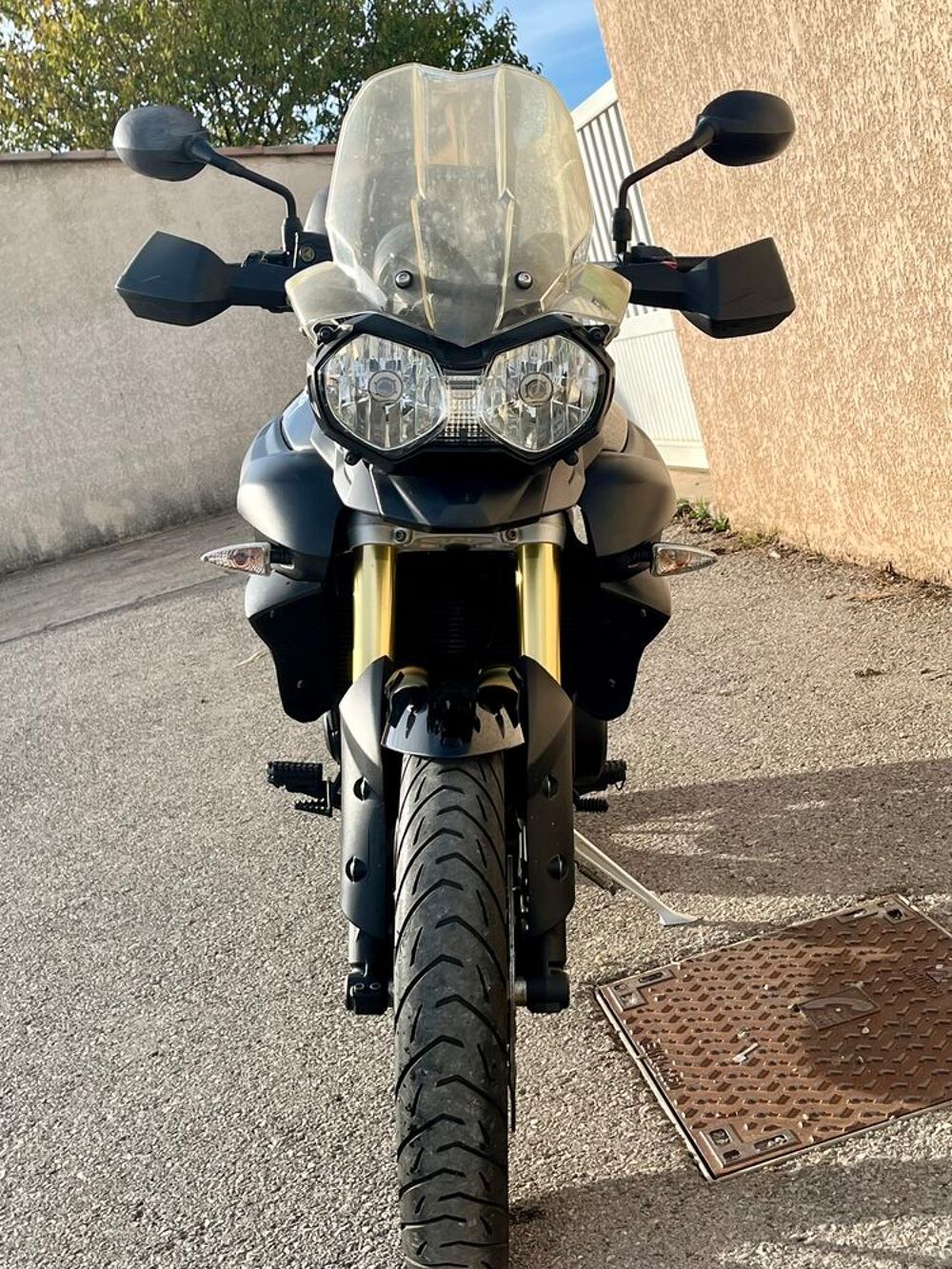 TRIUMPH 2011 occasion 34800 Canet
