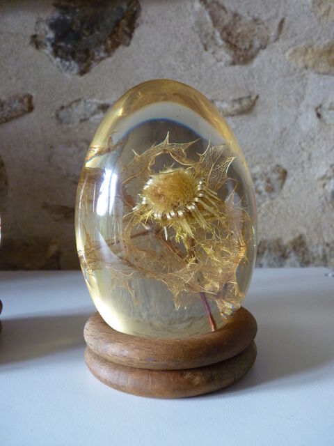 ?uf en r�sine incrust�e 20 Prissac (36)