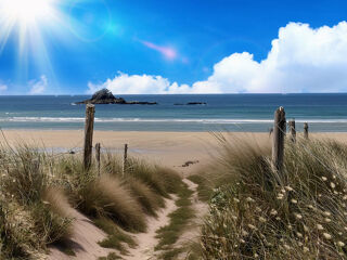 Location  Appartement 