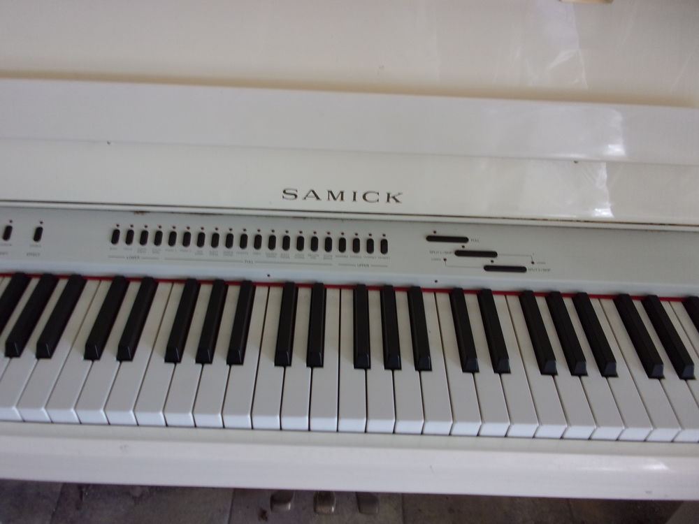 PIANO A QUEUE Instruments de musique