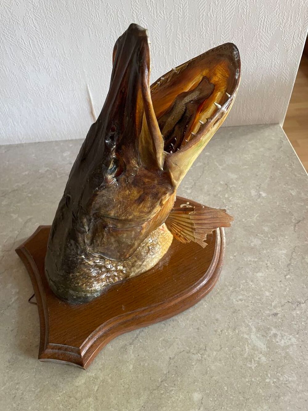 t&ecirc;te brochet naturalis&eacute; Décoration