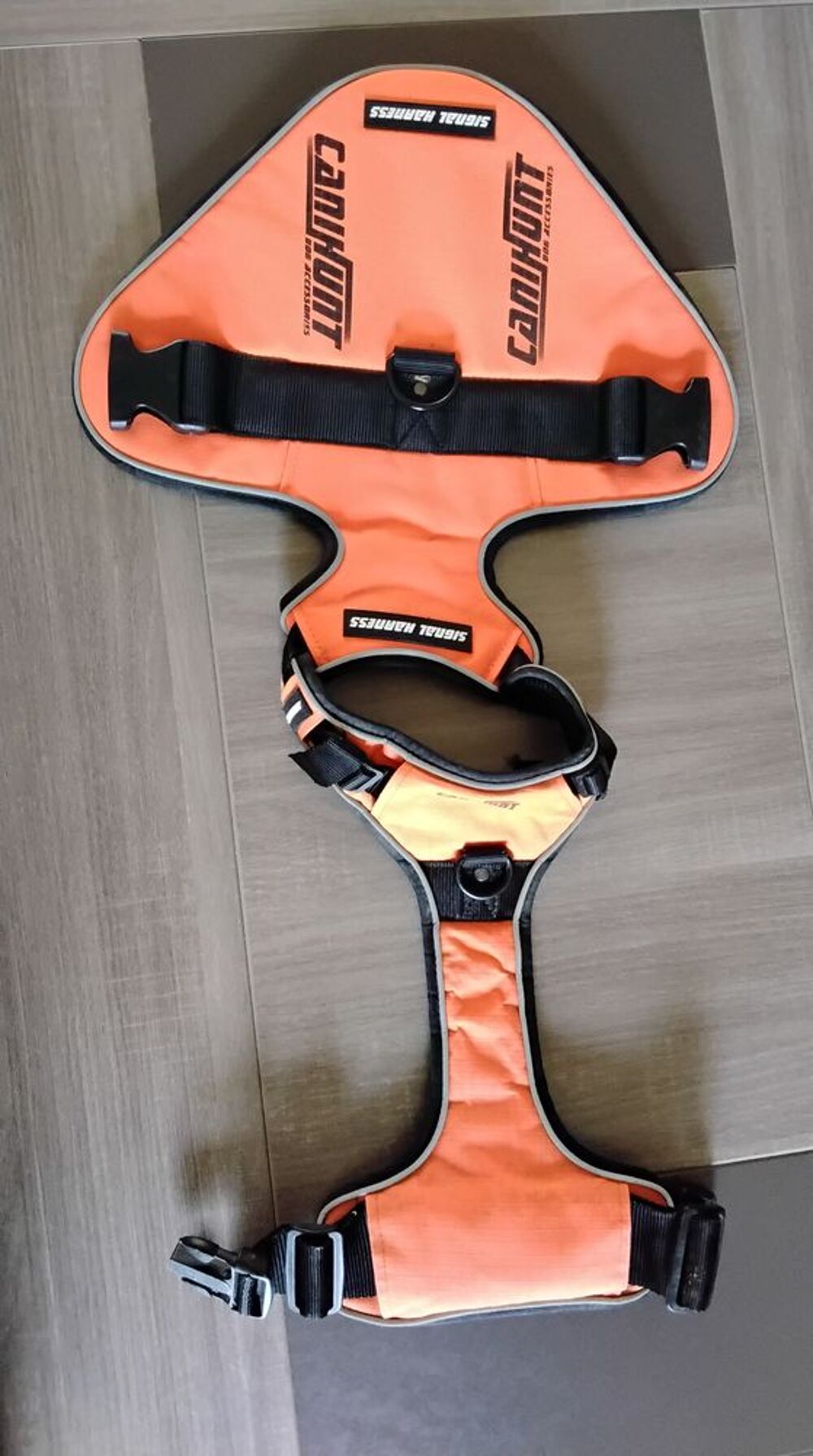 Harnais chien Sports