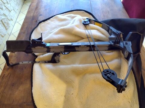 Arbalte  poulie 150 lbs 180 Fondettes (37)