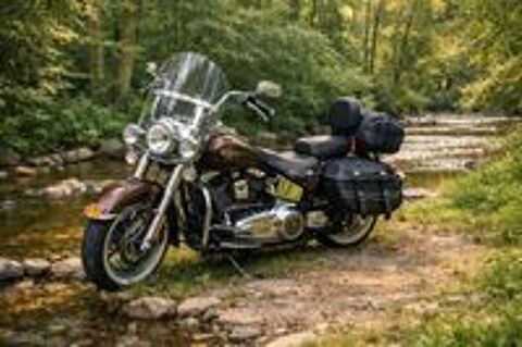 HARLEY-DAVIDSON 2012 occasion 77370 La Chapelle-Rablais