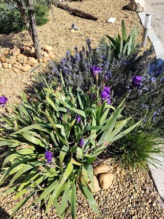  Maison � vendre 4 pi�ces 92 m�