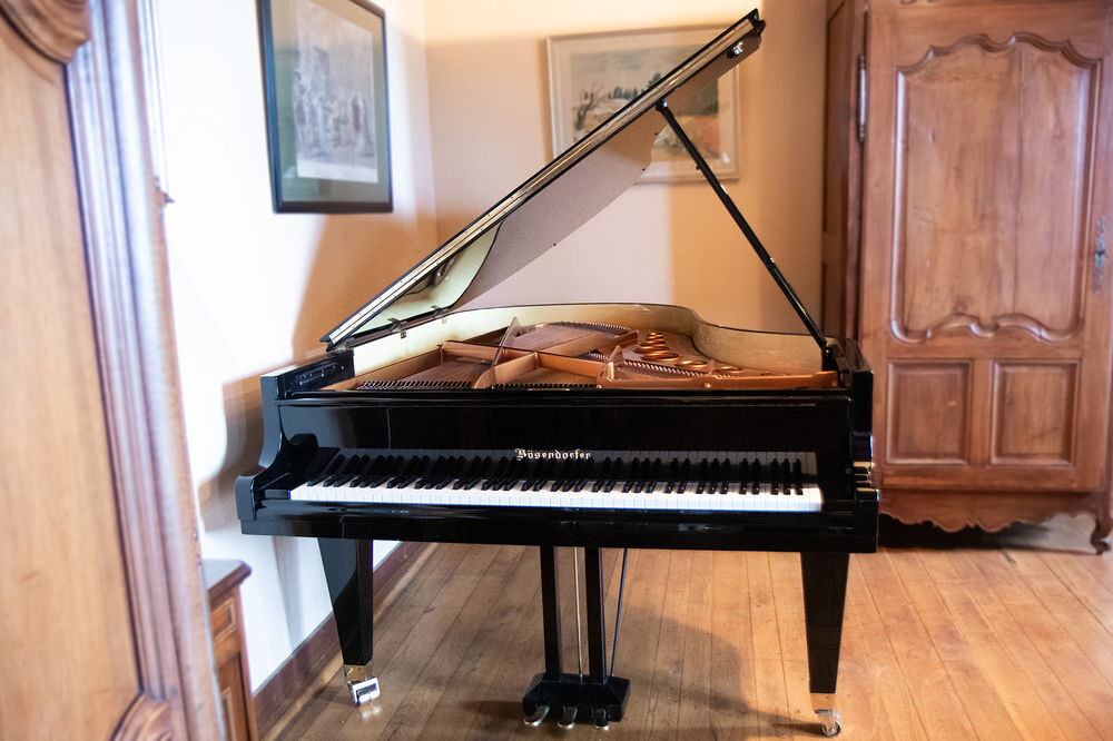 B&ouml;sendorfer Instruments de musique