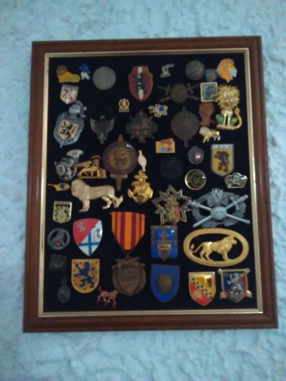 Collection de divers sujets sur le Lion 