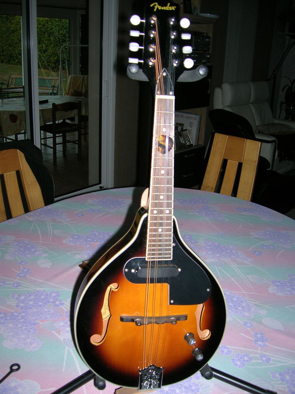 mandoline bluegrass Fender Instruments de musique