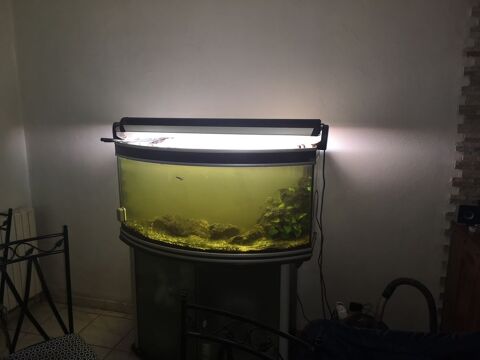 aquarium 250 l 120 Montauban (82)