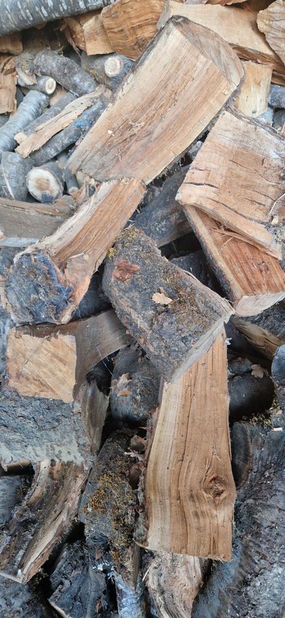 Bois de chauffage Cerisier Livrer Jardin