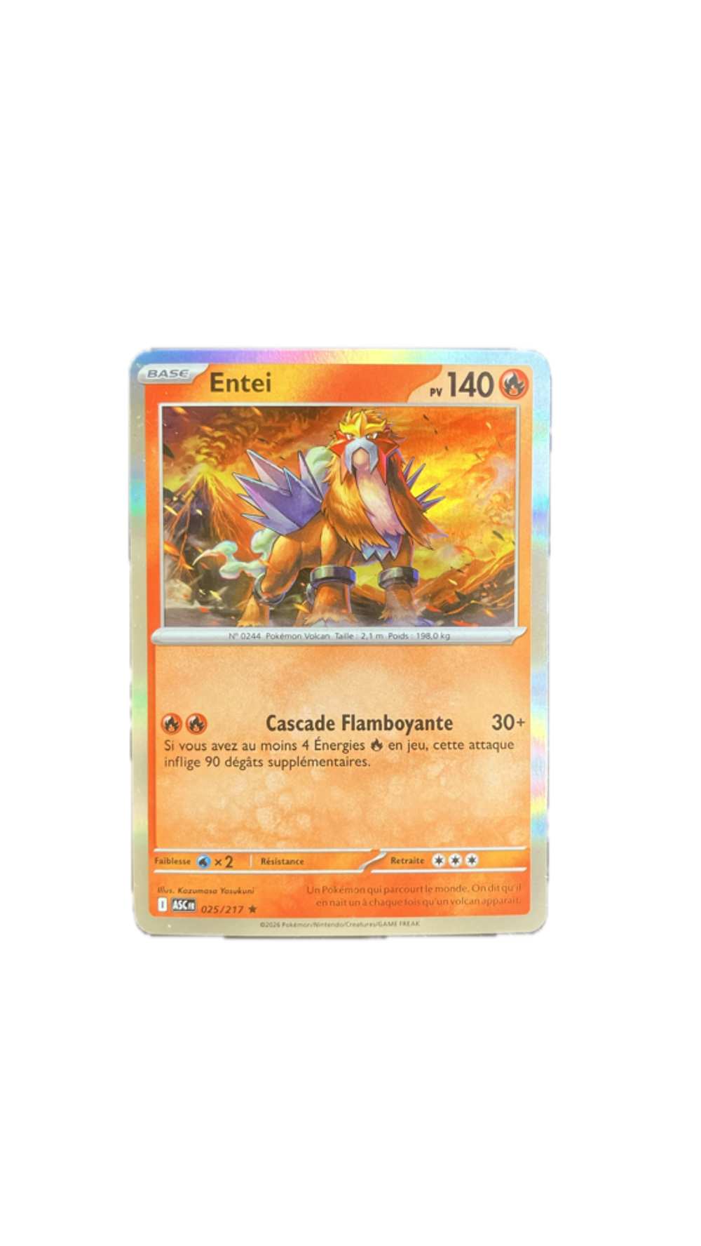 Carte Entei Base Neuve 025 217 