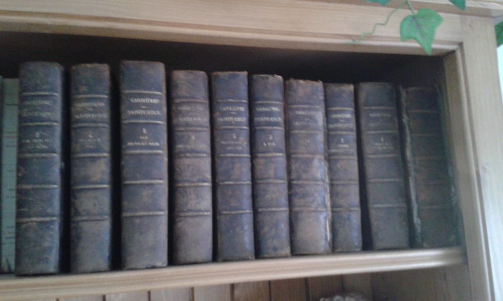 BIBLE CUIR de1825 FRANCAIS/LATIN 