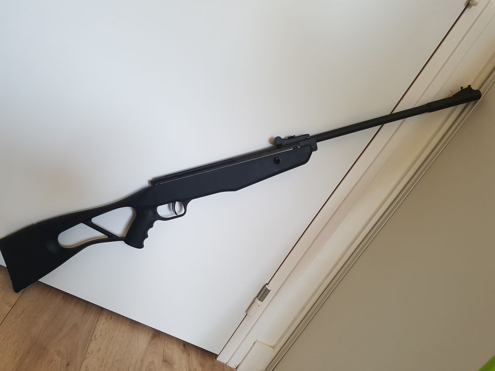 carabine a air comprim&eacute; Sports
