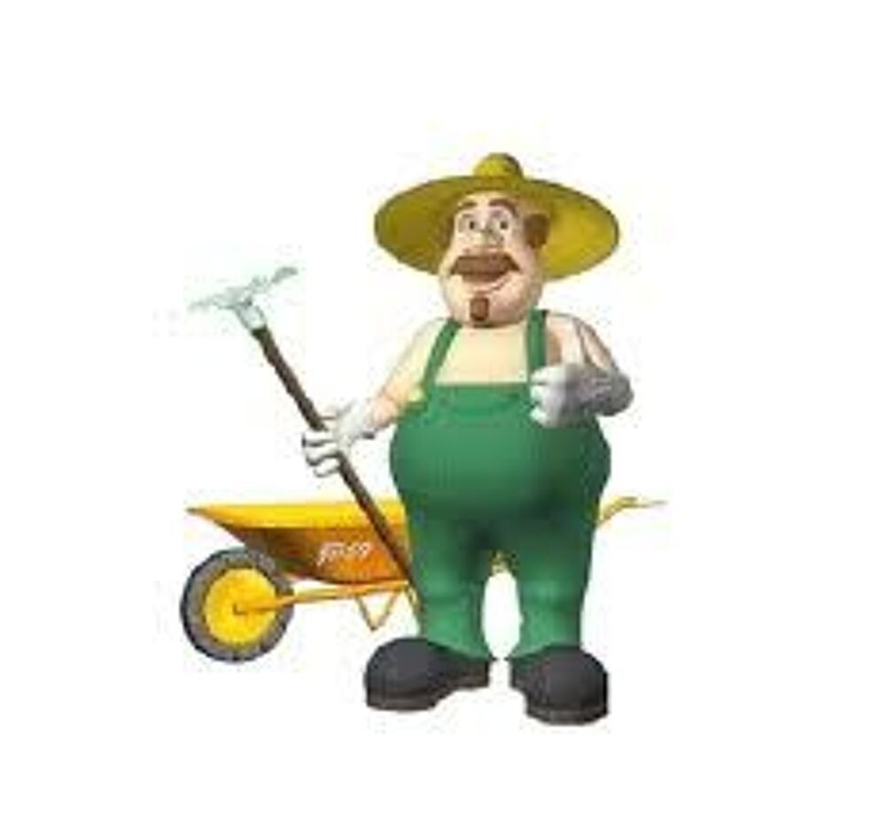  SERVICE JARDINAGE , MULTI-TACHES ET PLUS : 