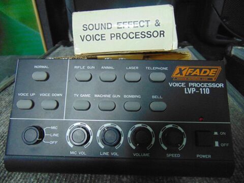 effets de voix 80 Lespron (07)