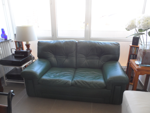 2Canaps Cuir parfait tat et disponibles cause dmnagement 430 Saint-tienne (42)