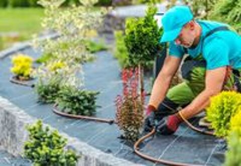   Entretient Jardin 