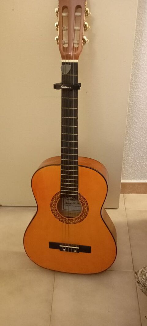 guitare DELSON Saint-Pargoire (34)