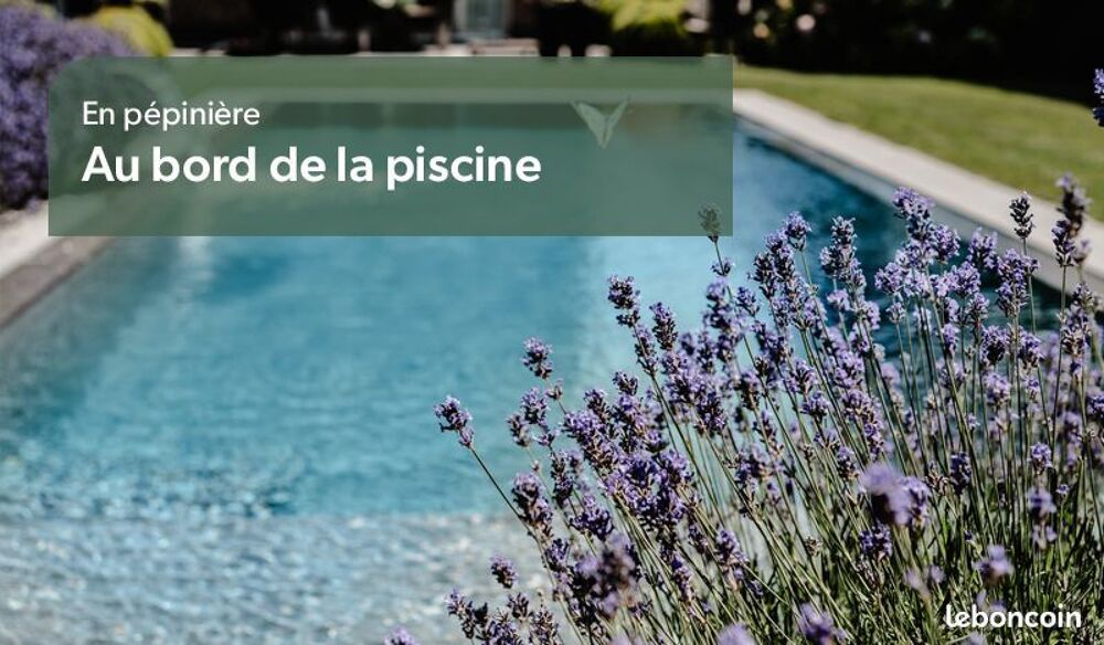 de v&eacute;g&eacute;taux au jardin du lavoir 16 Jardin