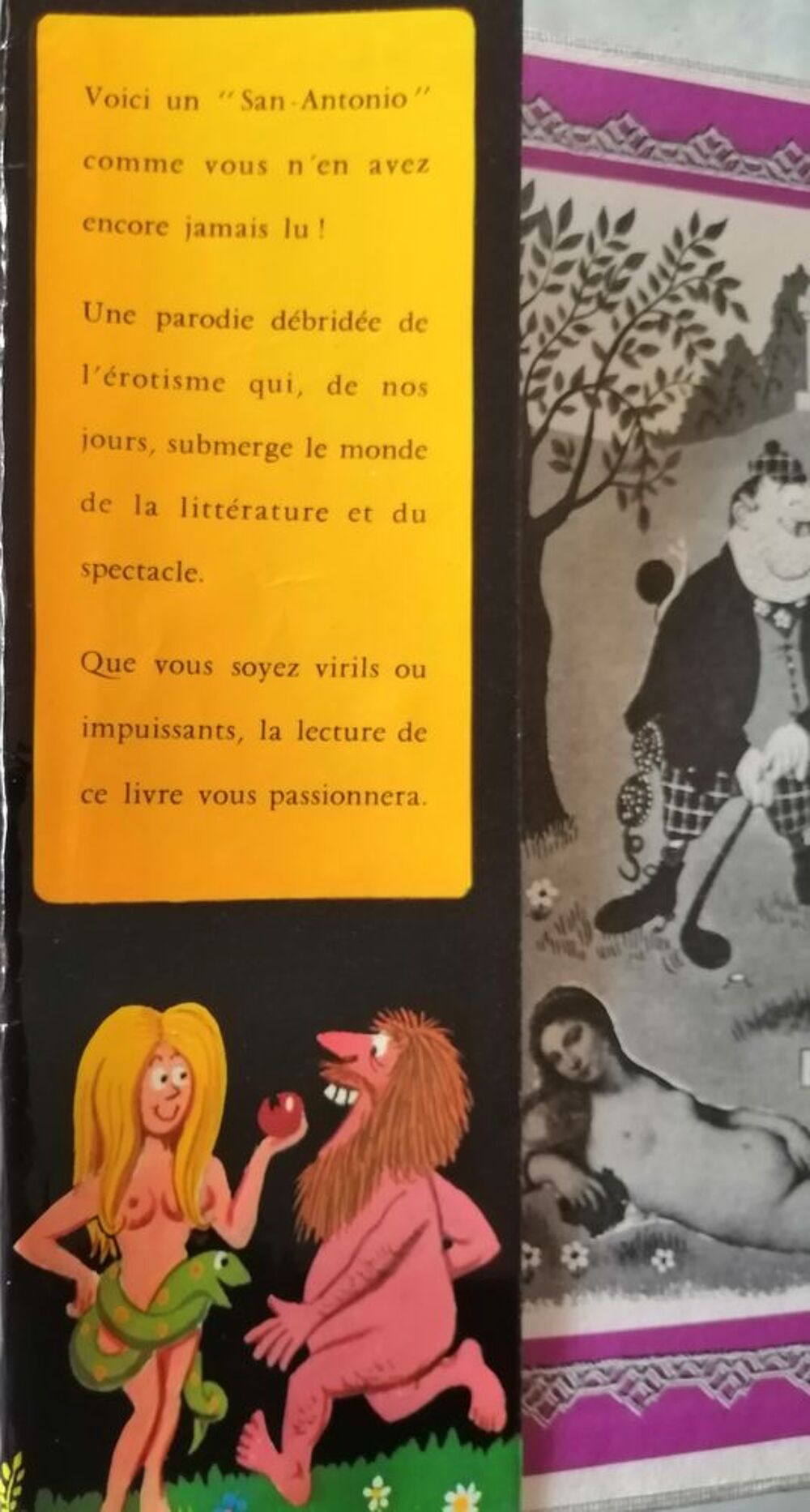 San Antonio : la sexualit&eacute; Livres et BD