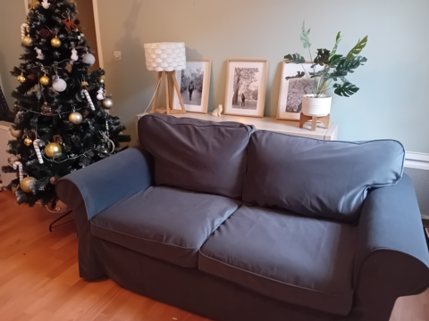 Canap ika 2 places parfait tat 300 Orlans (45)