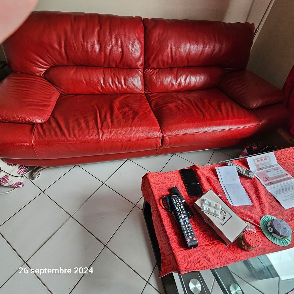 2 canapes en cuir Meubles
