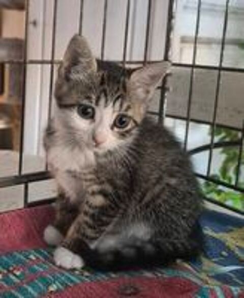   BIRK et BABOUCHE 