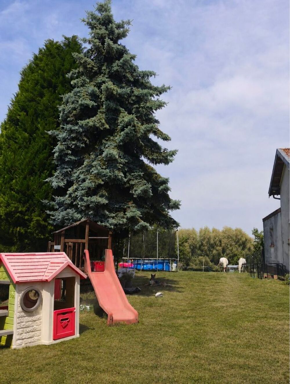 Vente Maison Maison 3 chambres - idéal chevaux Xousse