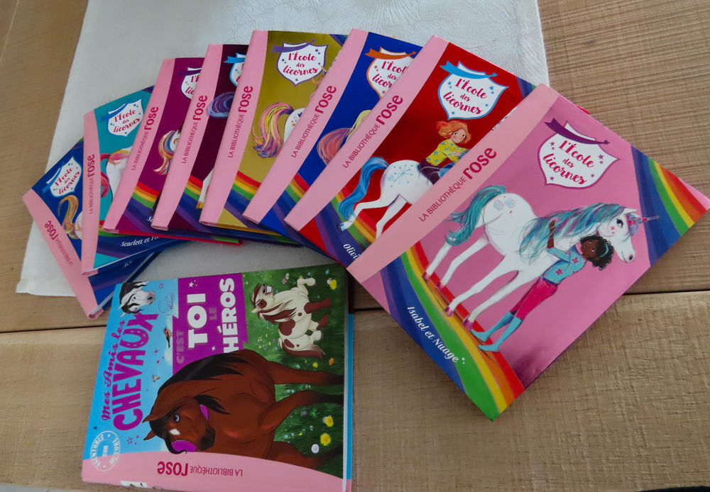 LIVRES JEUNESSE BIBLIOTHEQUE ROSE Livres et BD