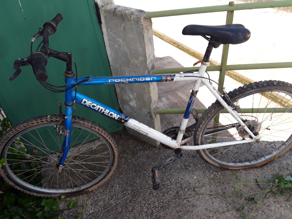 Velo adulte Vélos