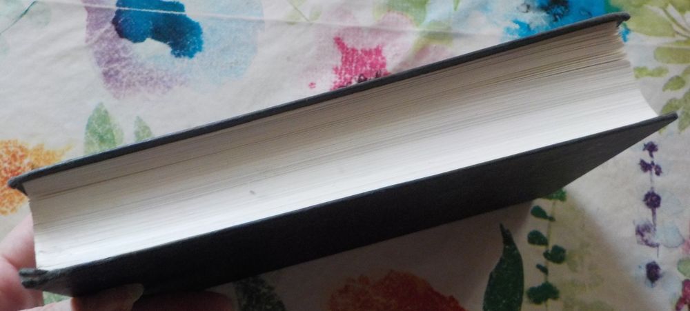 LA CROIX DE FEU T5 OUTLANDER de Diana GABALDON Ed. France Lo Livres et BD