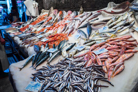 POISSONNERIE TRAITEUR DE LA MER 381500 33510 Andernos-les-bains