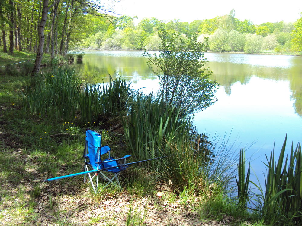 Vente Terrain Etang avec possibilité de construction gîtes de pêche. Quinssaines