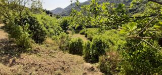  Terrain à vendre 16000 m² Menton