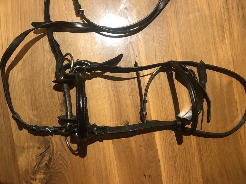 Bride cuir pour cheval Sports