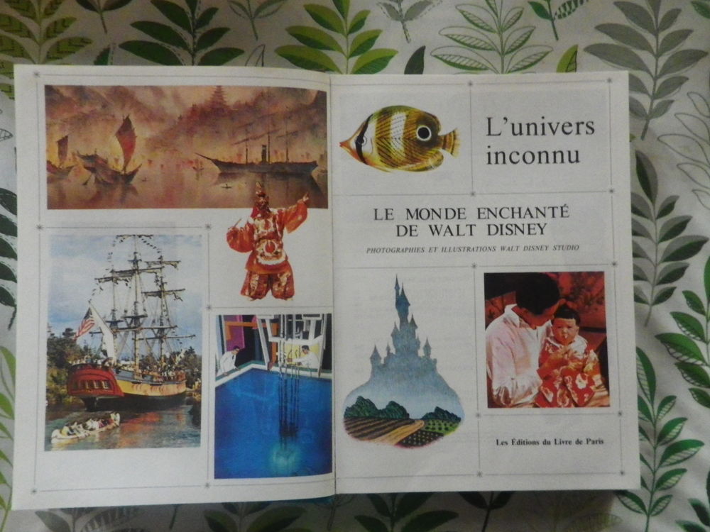 L'UNIVERS INCONNU Le Monde Enchant&eacute; de Walt Disney Livres et BD