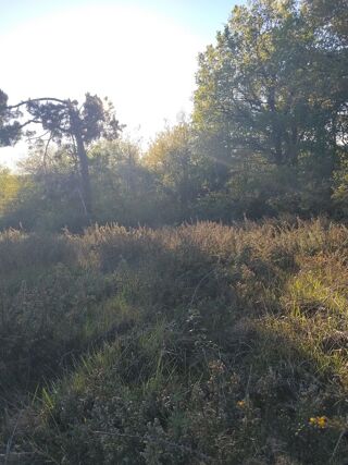  Terrain � vendre 6750 m� Soubran