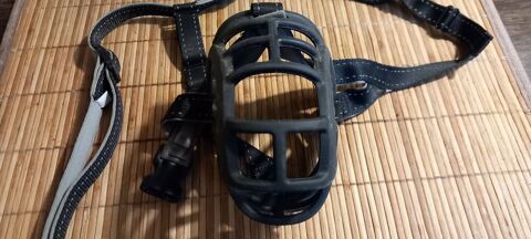 MUSELIERE CHIEN 9 77510 Rebais
