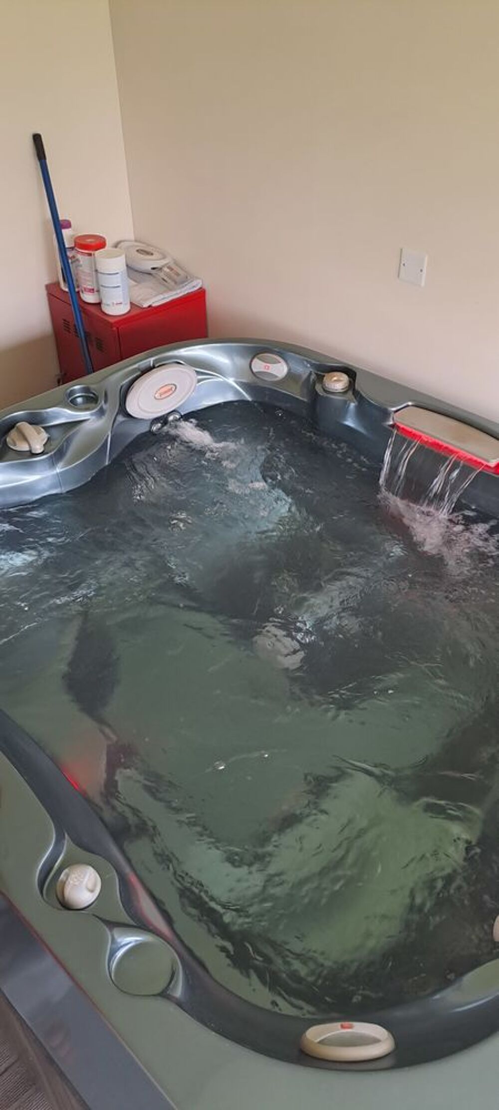  SPA JACUZZI J 415 Jardin