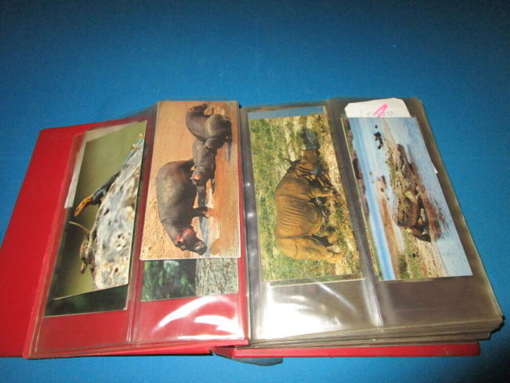 LOT CARTES ANIMAUX"MERVEILLES DU MONDE-NESTLE" 